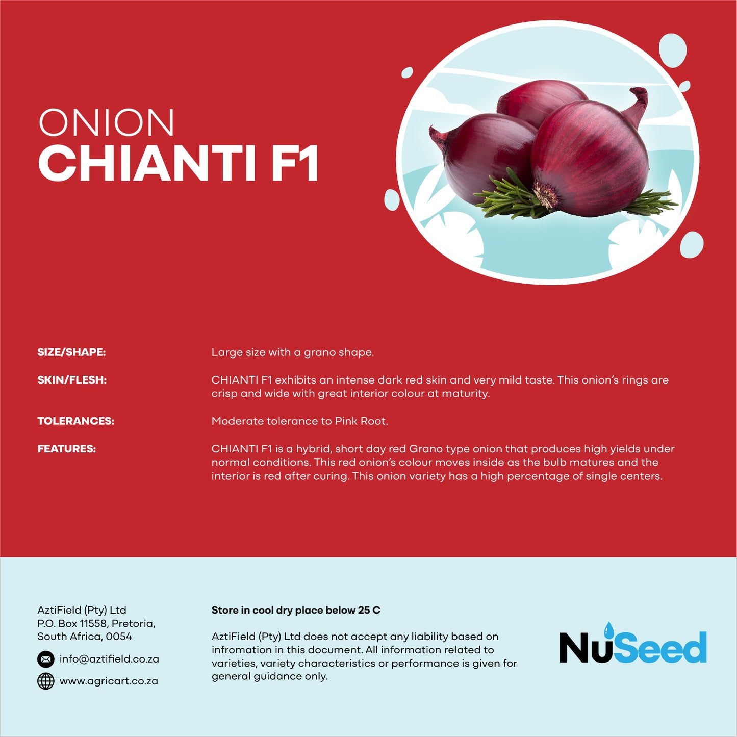 Onion CHIANTI F1