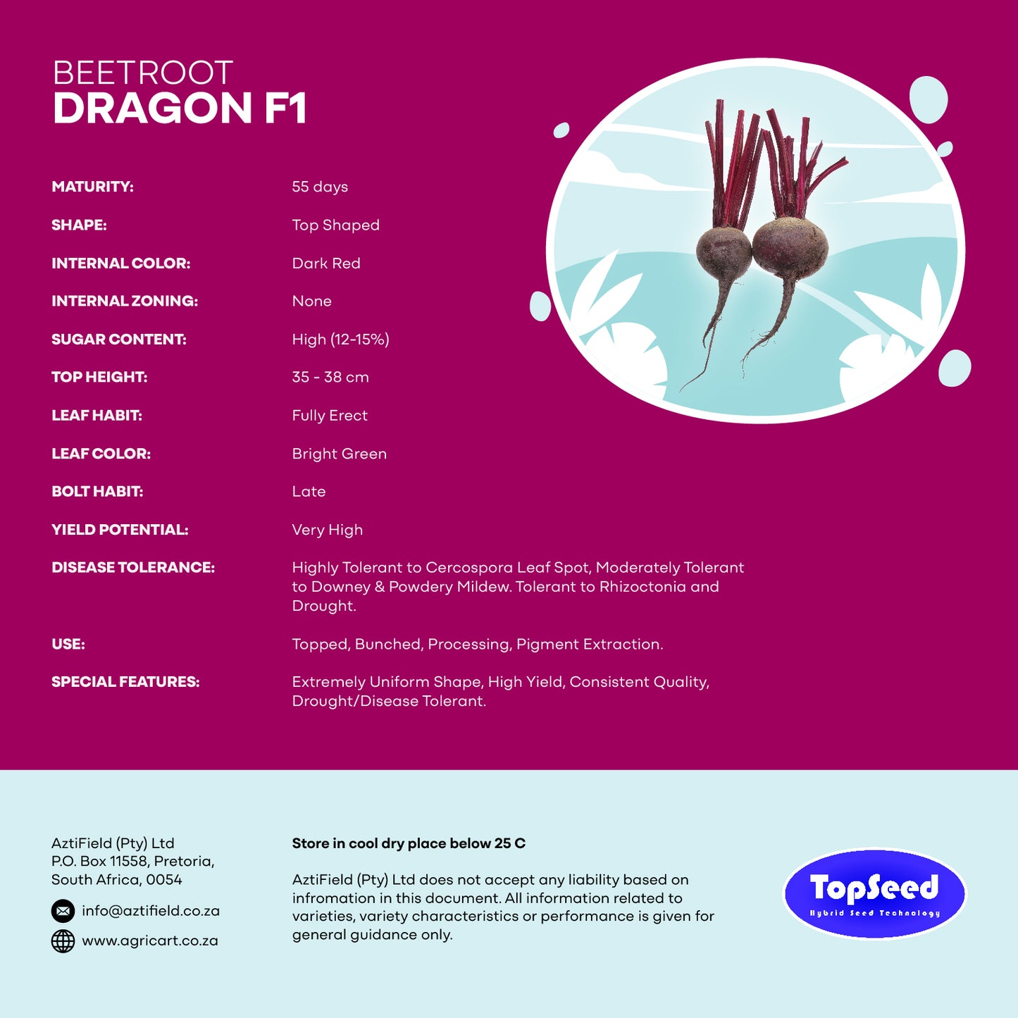 Beetroot Dragon F1