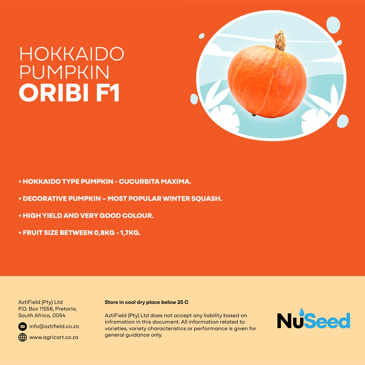 Hokkaido Pumpkin ORIBI F1