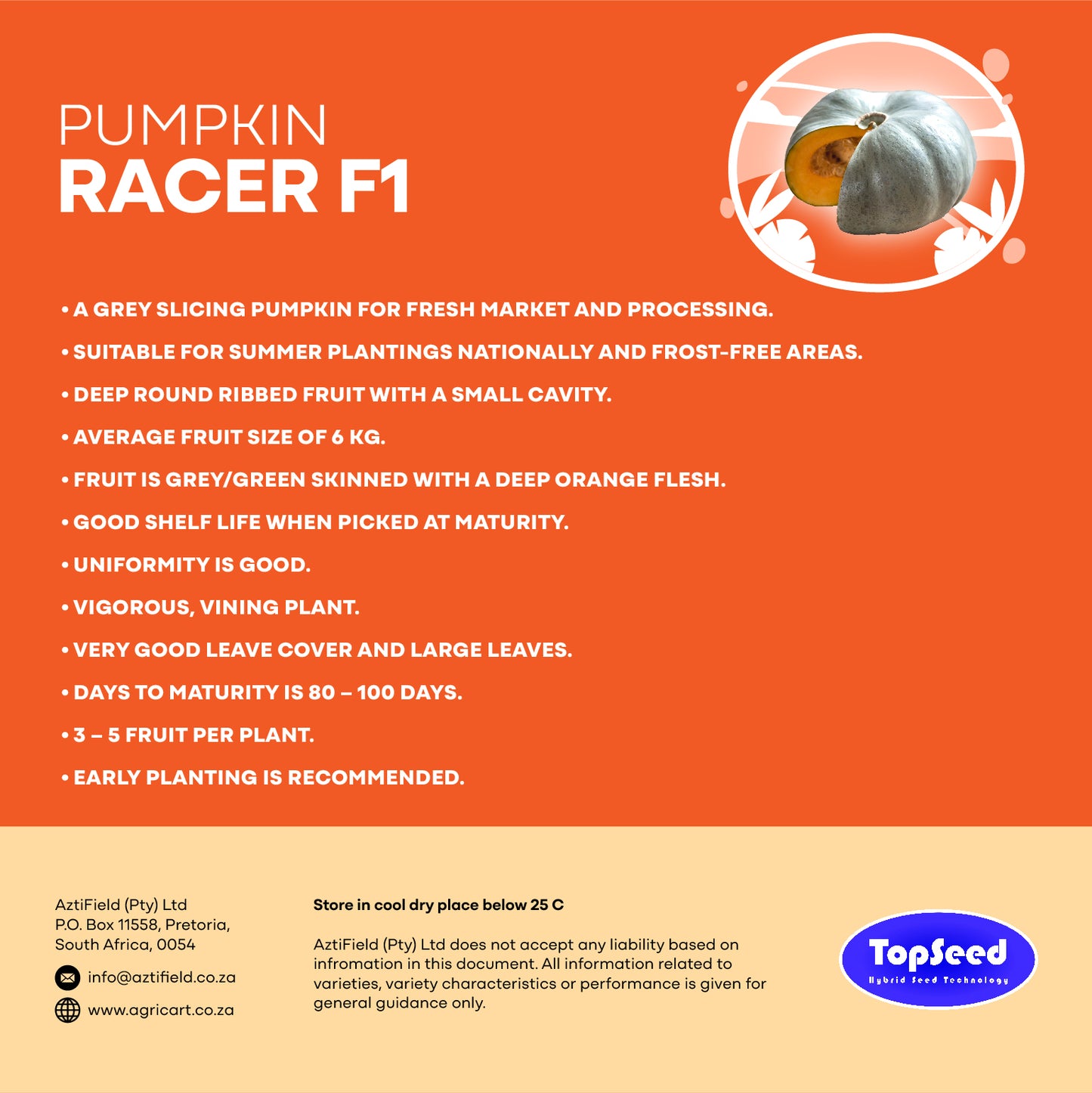 Pumpkin Racer F1