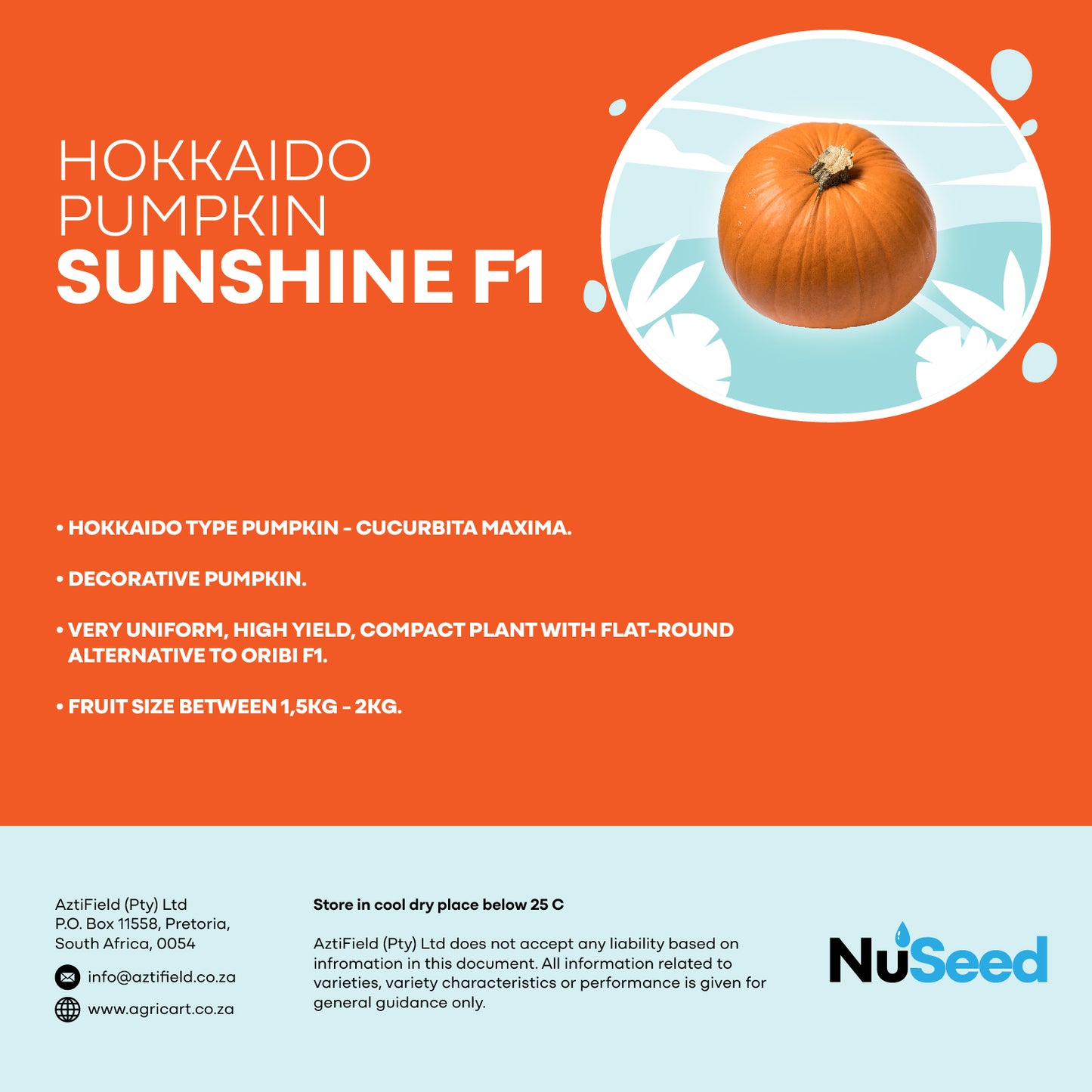 Hokkaido Pumpkin SUNSHINE F1