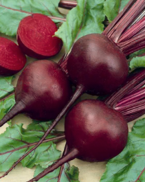 Beetroot