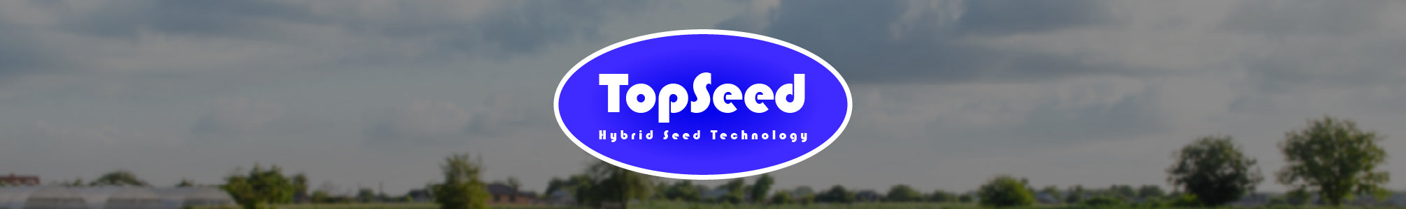 TopSeed