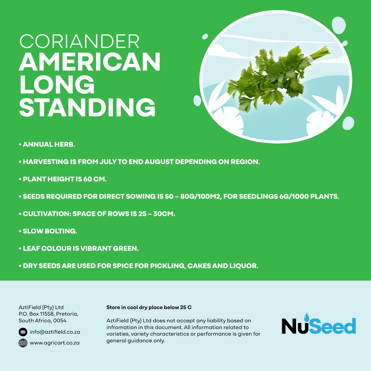 Coriander American Long Standing