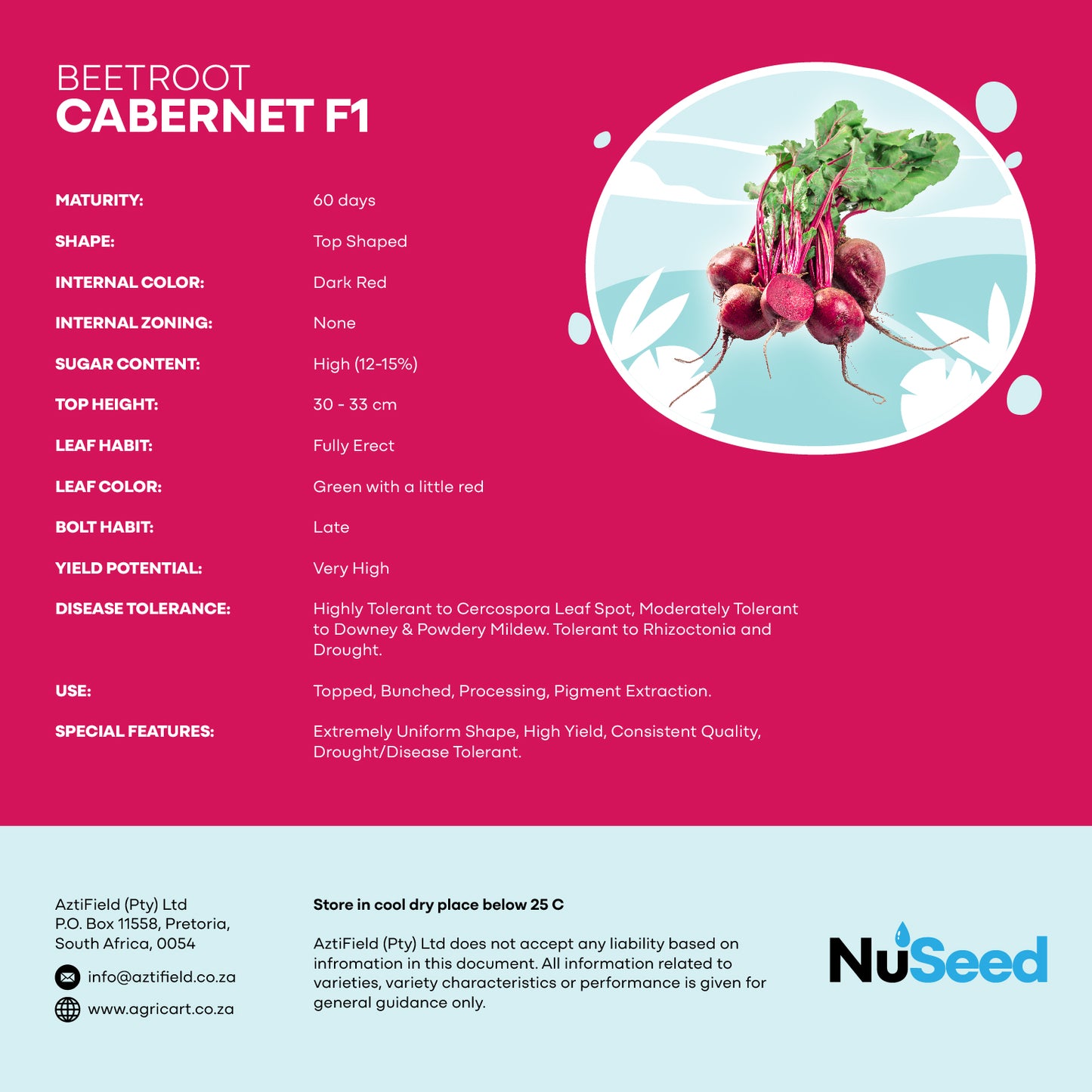 Beetroot Cabernet F1