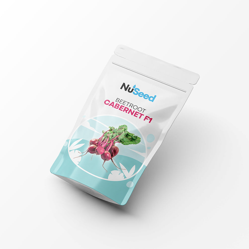 Beetroot Cabernet F1