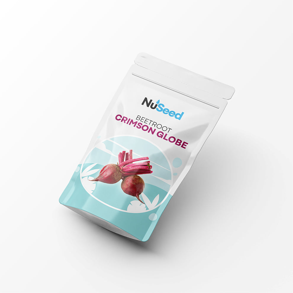 Beetroot Crimson Globe