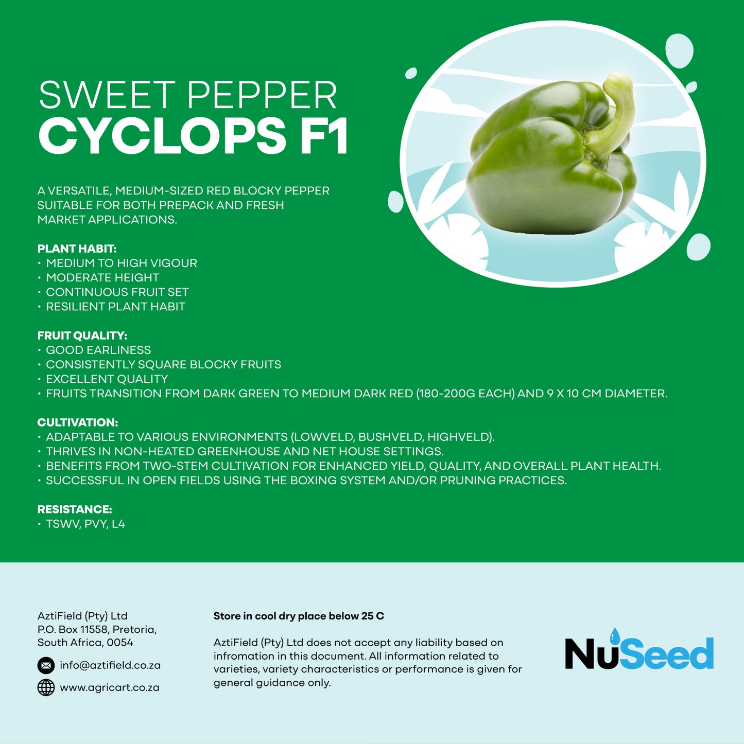 Sweet Pepper Cyclops F1