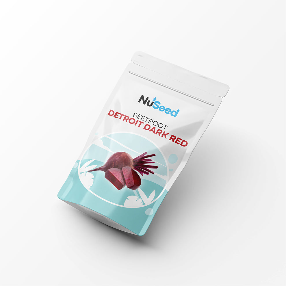Beetroot Detroit Dark Red