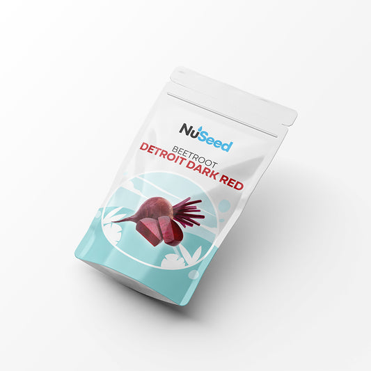 Beetroot Detroit Dark Red