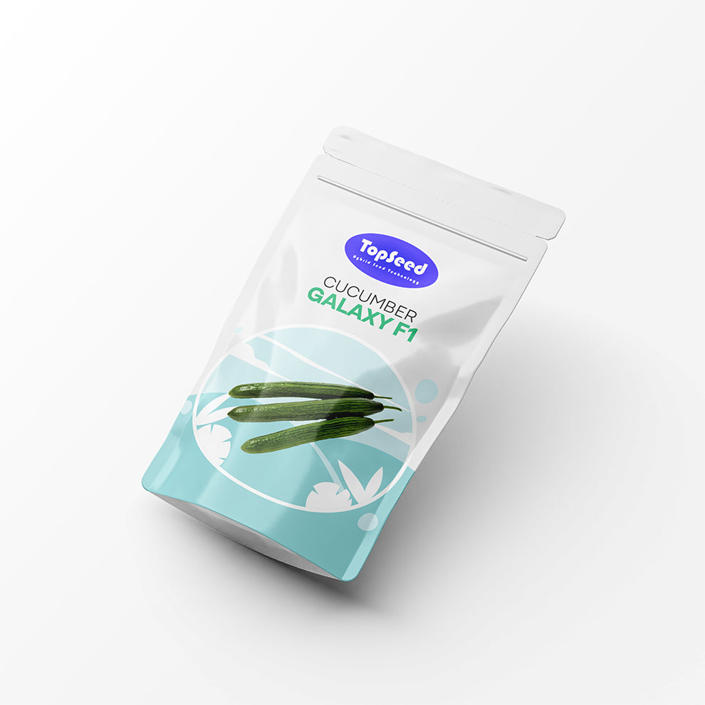 Cucumber Galaxy F1