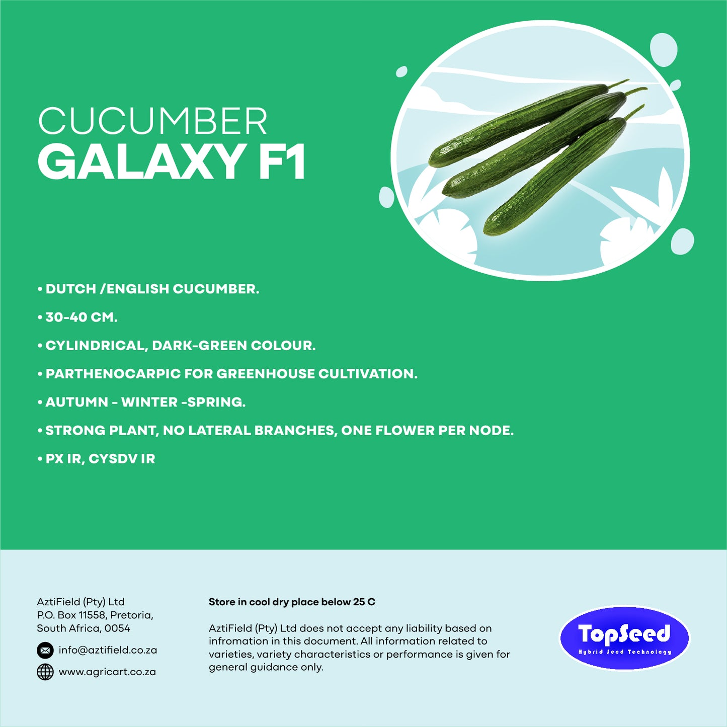 Cucumber Galaxy F1