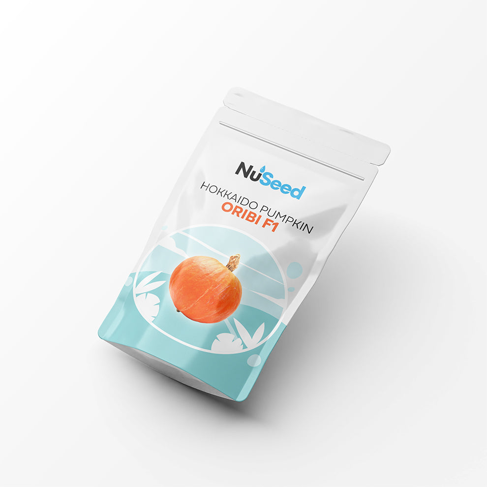 Hokkaido Pumpkin ORIBI F1