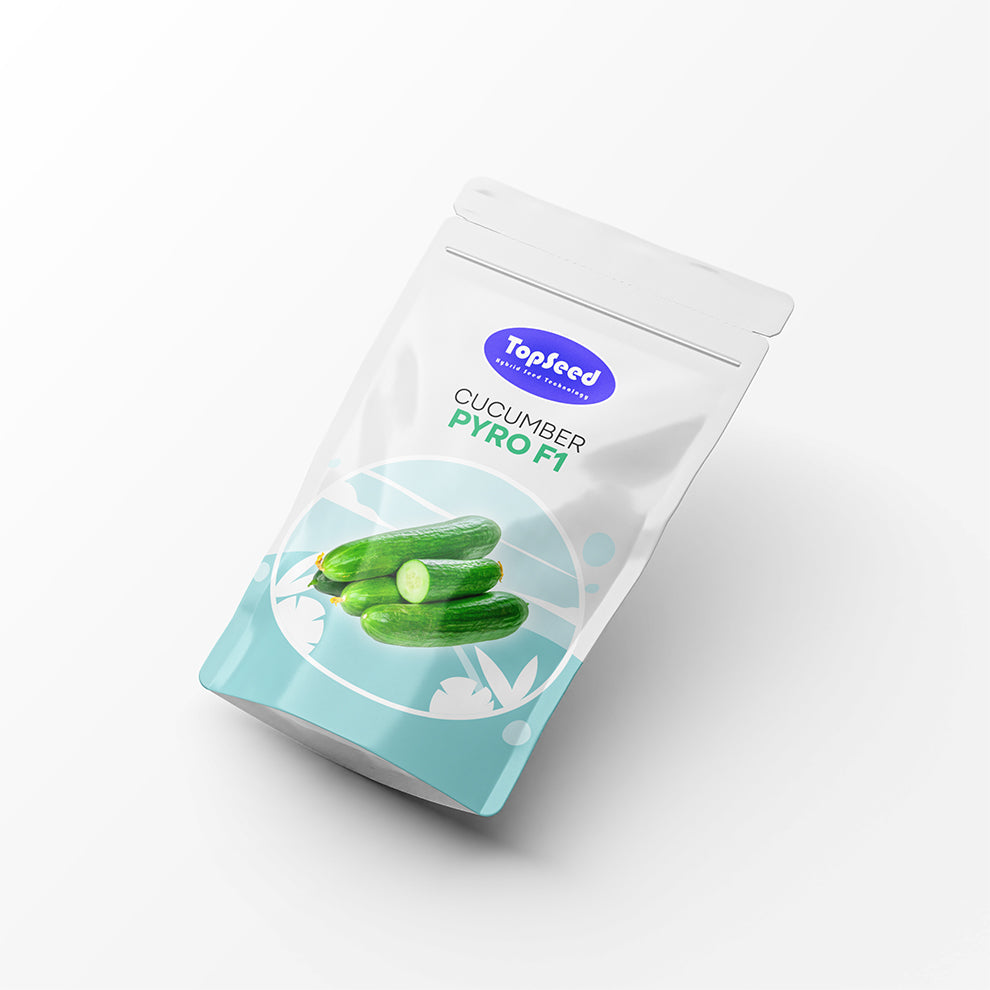 Cucumber Pyro F1