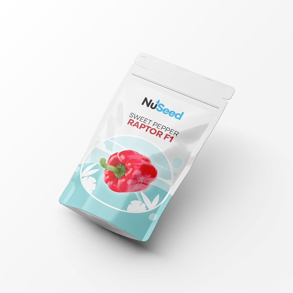 Sweet Pepper RAPTOR F1