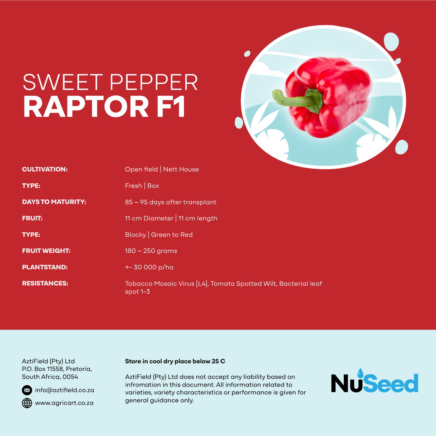 Sweet Pepper RAPTOR F1