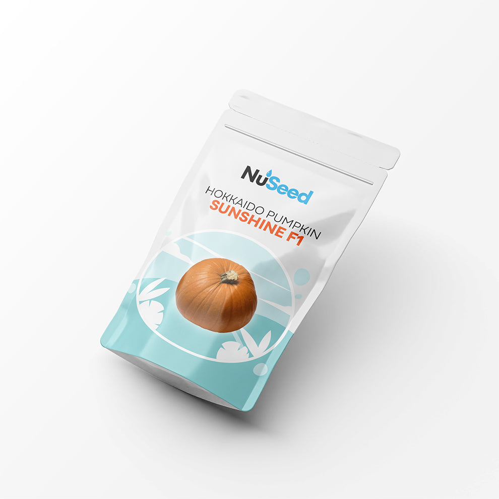 Hokkaido Pumpkin SUNSHINE F1
