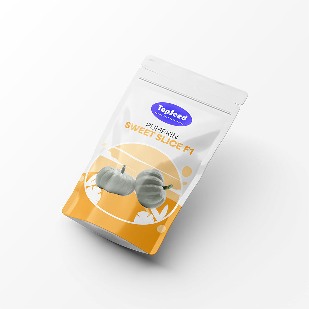 Pumpkin Sweet Slice F1