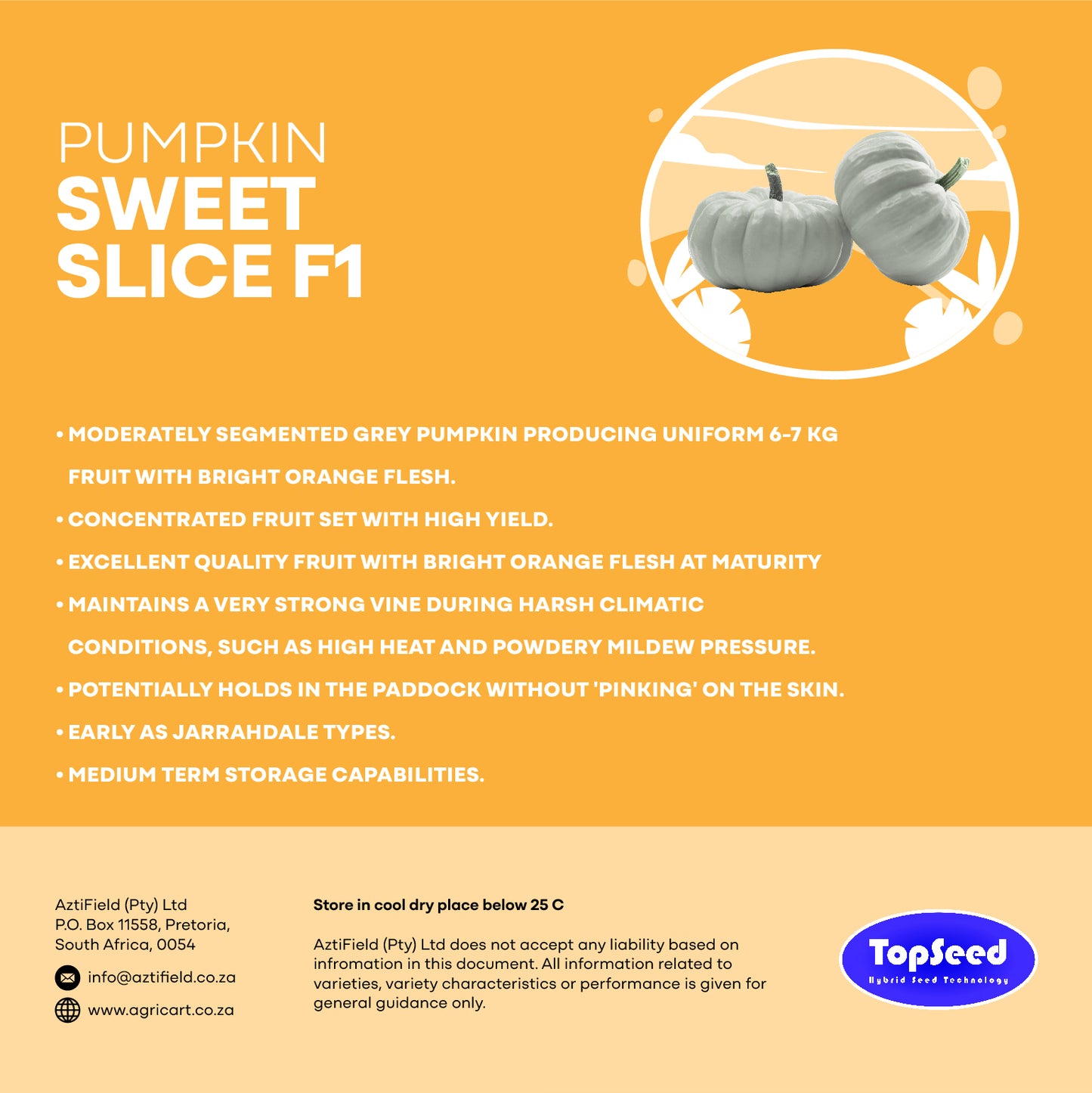 Pumpkin Sweet Slice F1