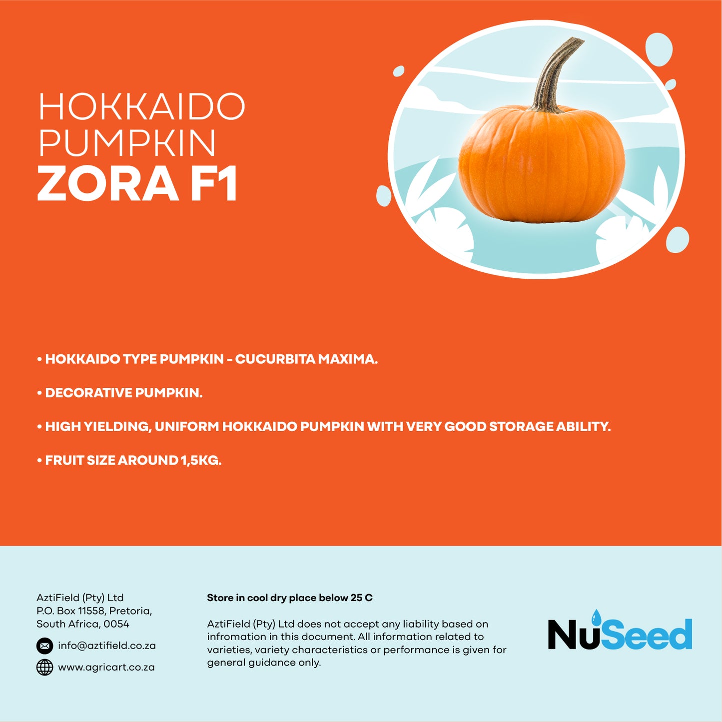 Hokkaido Pumpkin ZORA F1